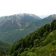 Monte Gambarogno e Daca