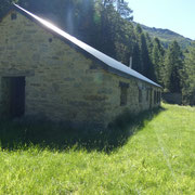 Alpe di Cadino 1656 m