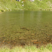 Laghetto di Taneda