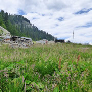 Alpe di Visghéd 1721 m