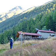 Alpe di Forcarid 1705 m