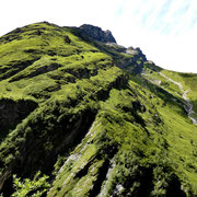 Verso l'Einshorn