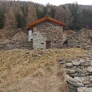 Alpe di Forcarid 1704 m