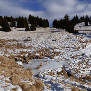 Discesa all'Alpe Croveggia