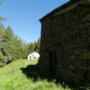 Alpe di Cadino 1656 m