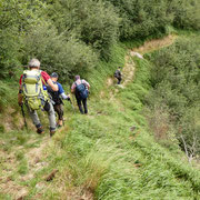 Sentiero per l'Alpe di Mott