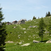 Alpe di Pèu 1724 m