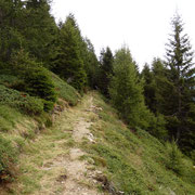 Sentiero Alpe di Mott - Capanna Brogoldone