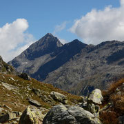 Pizzo Tambo