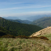 Verso il Lago Maggiore