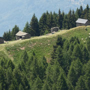 Alp di Mott
