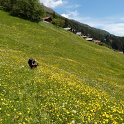 Verso Cassin 1524 m