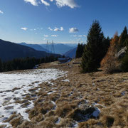 Alpe Girso 1552 m