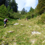 Sentiero segnalato per l'Alp de Mem