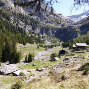 Alpe di Compiett 1516 m