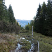 Dall'Alpe di Gardosa saliamo al Monte Püscett