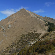 Monte Tamaro