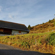 Alp Gronda / Präzer Alp 1882 m