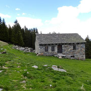 Alpe Tarch 1737 m