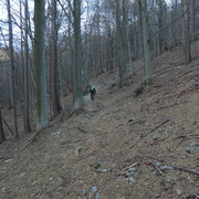 Verso l'Alpe Pessina