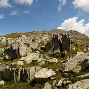 Distelgrat
