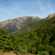 Monte Gambarogno