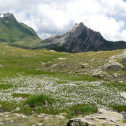 Pizzo dell'Uomo e Campanitt