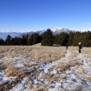 Alpe d'Arbino