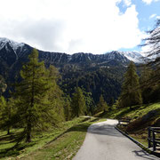 Alpe di Giumello 1594 m