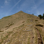 Saliamo al Monte Tamaro