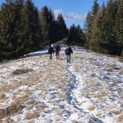 In cammino per l'Alpe di Gesero