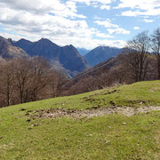 Alpe Bolgia 1121 m