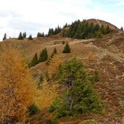 Präzer Höhi