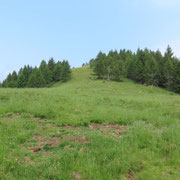 Alpe di Gesero