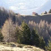 Alpe di Motto