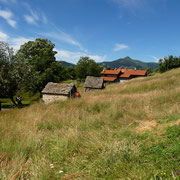 Condra 1008 m