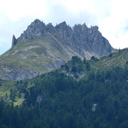 Campanitt