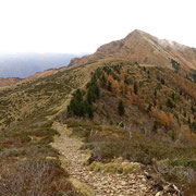 Bassa di Montóia 1764 m