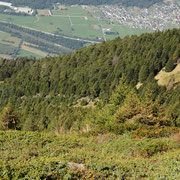 Alpe di Domass e Alpe di Mott