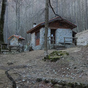 Rifugio Alpe Pessina 1217 m