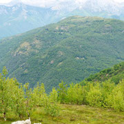 Cima di Medeglia