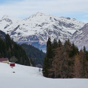 Alpe Nuova 1490 m