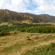 Alpe Bovarina