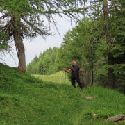 Sulla crestina verso l'Alpe di Gesero