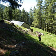 Alpe di Cadino 1656 m