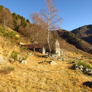 Alpe Fossada 1460 m