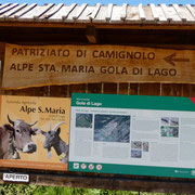 Gola di Lago 972 m
