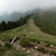 Bassa di Indemini