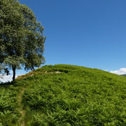 Cima di Lago