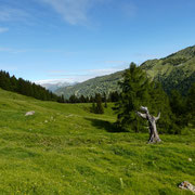 Alpe di Giumello 1594 m